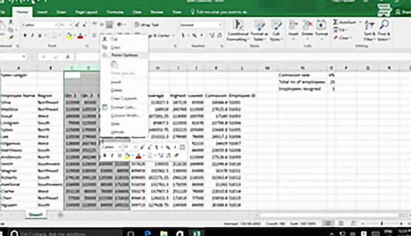 Microsoft Excel 2016 Level 1.3: Modifying a Worksheet - Training Network
