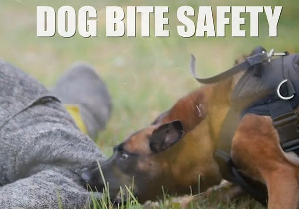 Dog Bite Prevention - Training Network