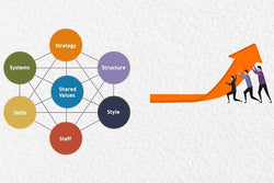 Leading Change - McKinsey's 7-S Model - Training Network