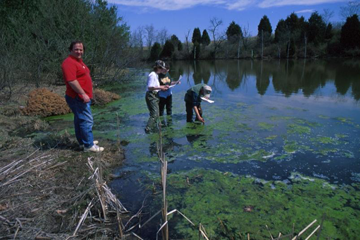 Environmental Overview