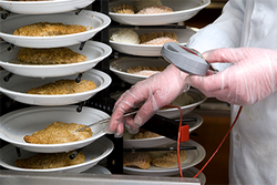 Food Service and Distribution - HACCP Overview
