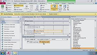 Microsoft Access 2010: Customizing Reports