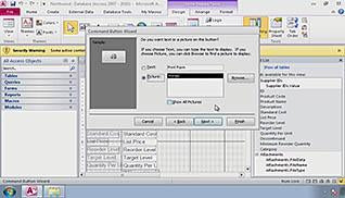 Microsoft Access 2010: Improving Forms