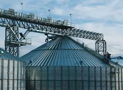 Grain Elevator Fall Protection - Training Network