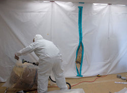 Toxic Mold - The Facts - Training Network