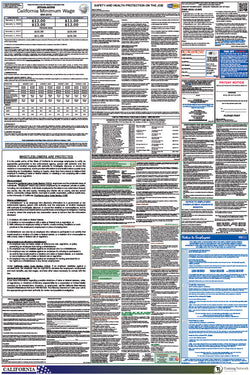 Federal & State Labor Law Poster - Training Network