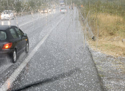 Driving in Extreme Weather Conditions - Training Network