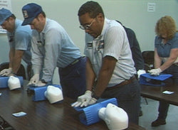 Emergency First Aid - Training Network
