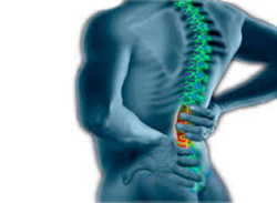 To The Point About: Preventing Back Injuries - Training Network