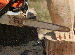 Chainsaw Safety - Real Accidents, Real Stories - Training Network